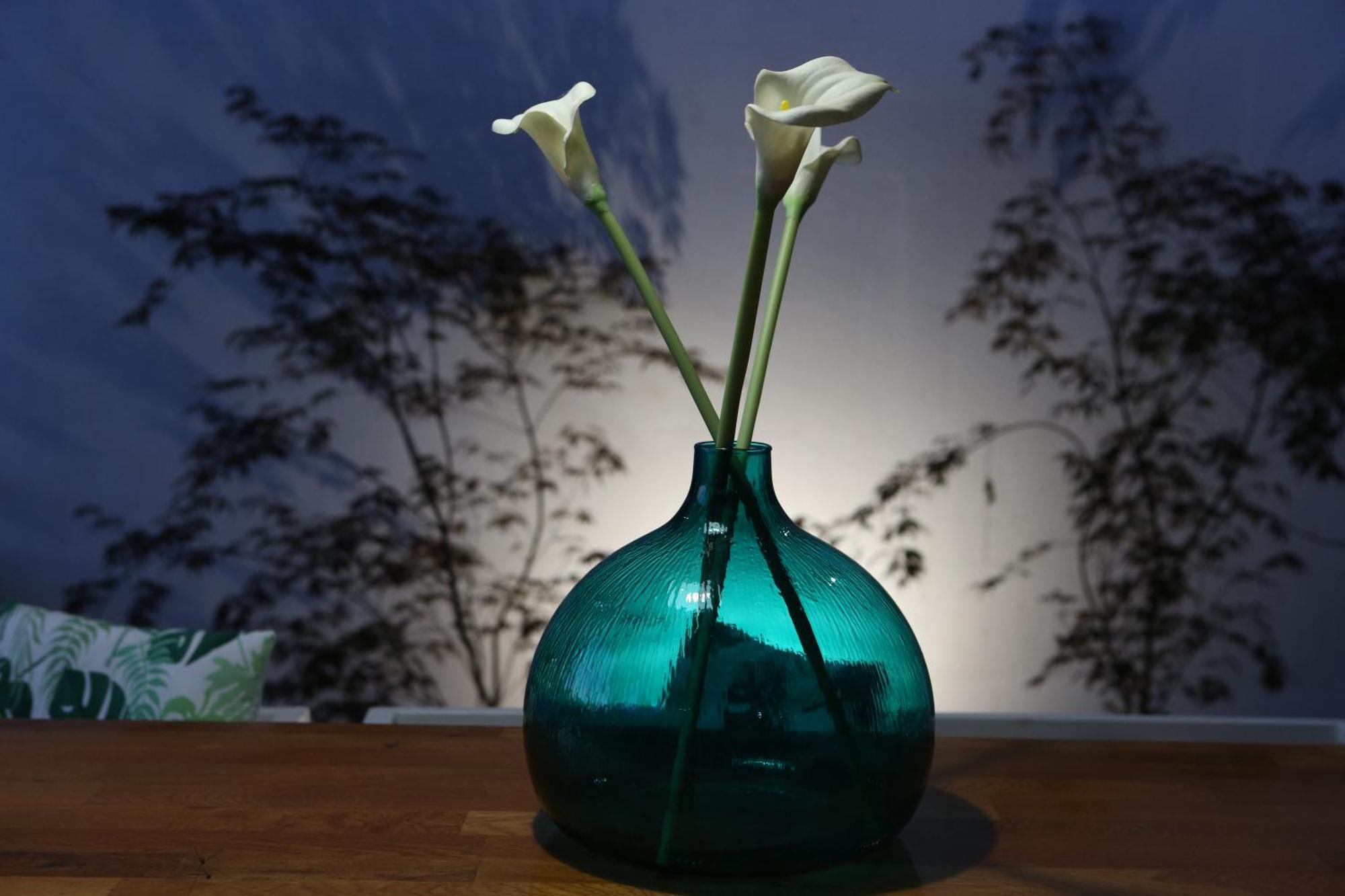 Boutique Hotel Chevalier By Bura Hotels - Adults Only Medulin Eksteriør bilde